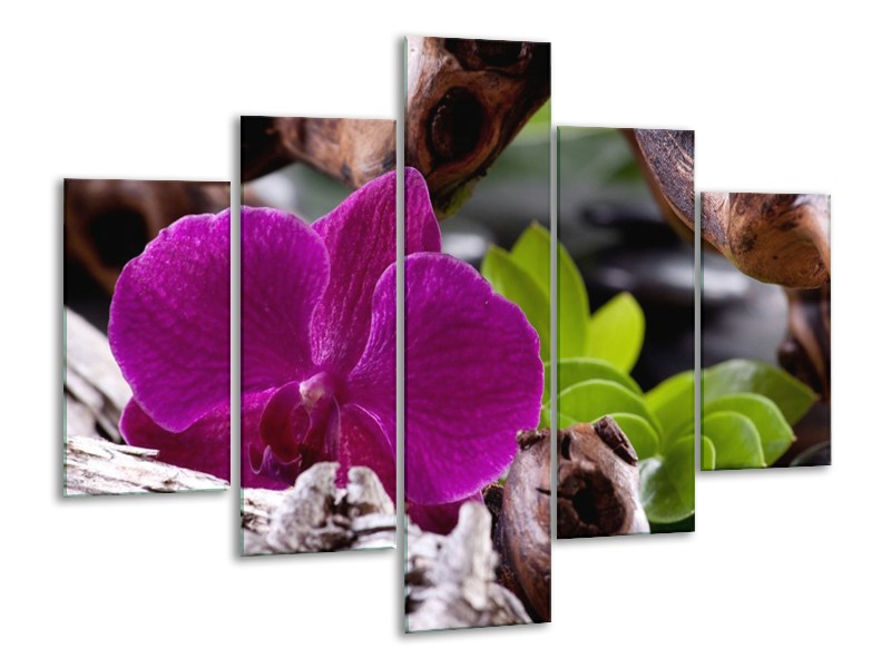 Canvas schilderij Bloem | Paars, Groen, Bruin | 100x70cm 5Luik