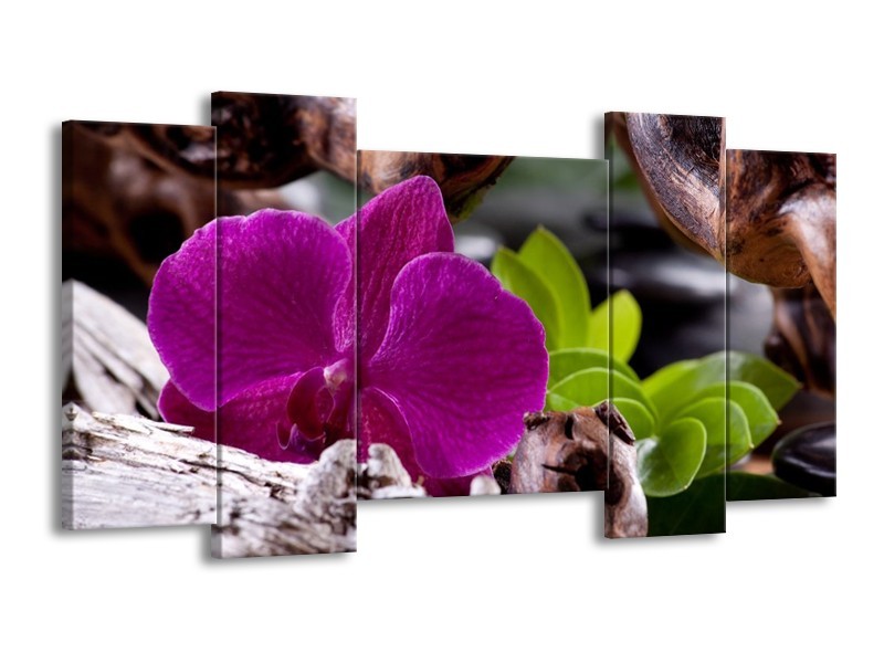 Canvas schilderij Bloem | Paars, Groen, Bruin | 120x65 5Luik