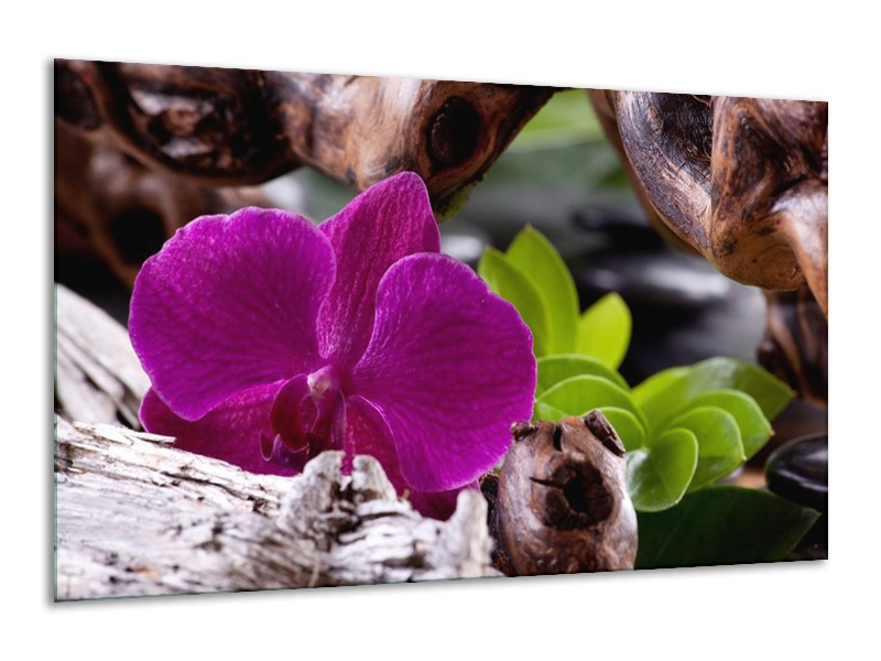 Canvas schilderij Bloem | Paars, Groen, Bruin | 120x70cm 1Luik