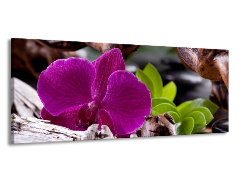 Canvas schilderij Bloem | Paars, Groen, Bruin | 145x58cm 1Luik
