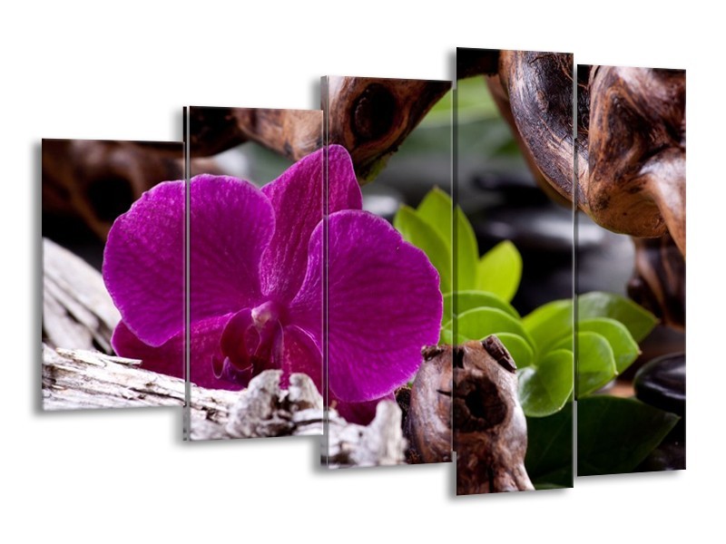 Canvas schilderij Bloem | Paars, Groen, Bruin | 150x100cm 5Luik