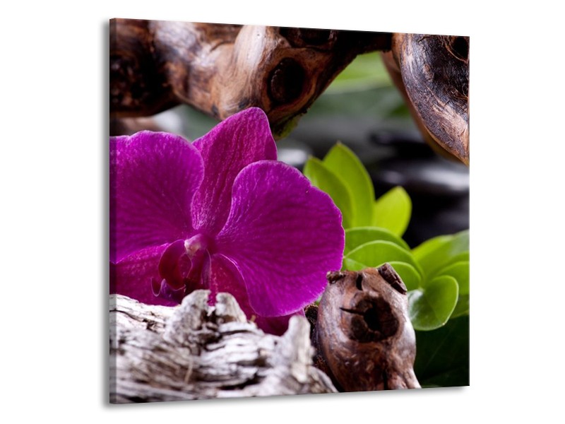 Canvas schilderij Bloem | Paars, Groen, Bruin | 70x70cm 1Luik