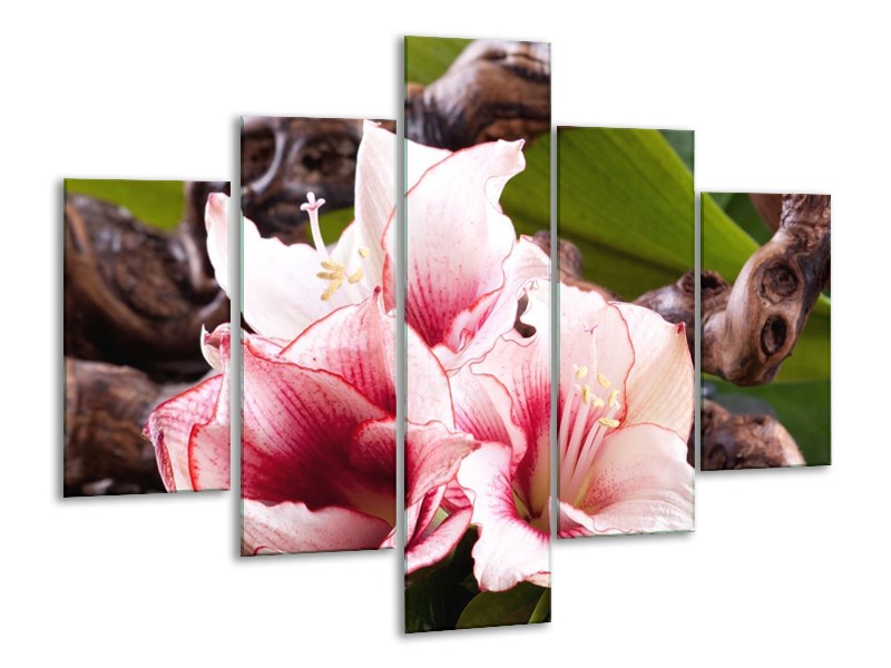 Canvas schilderij Bloem | Wit, Roze, Groen | 100x70cm 5Luik