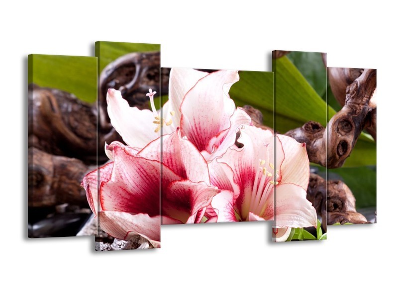 Canvas schilderij Bloem | Wit, Roze, Groen | 120x65 5Luik