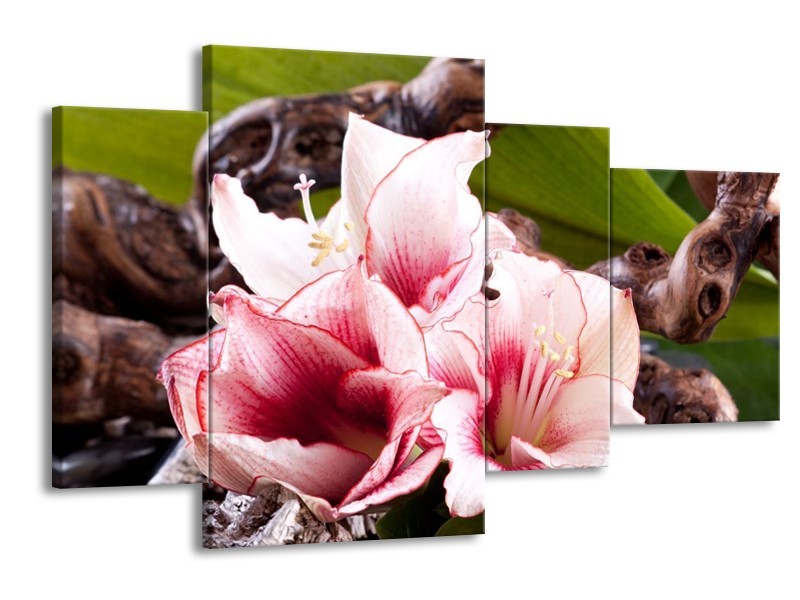 Canvas schilderij Bloem | Wit, Roze, Groen | 120x75cm 4Luik