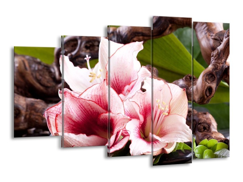 Canvas schilderij Bloem | Wit, Roze, Groen | 150x100cm 5Luik