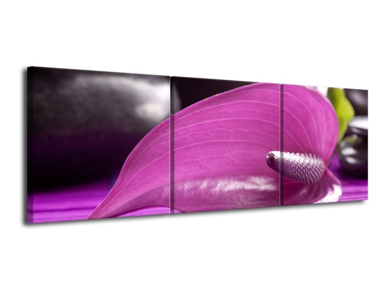 Canvas schilderij Bloem | Paars, Groen, Wit | 120x40cm 3Luik
