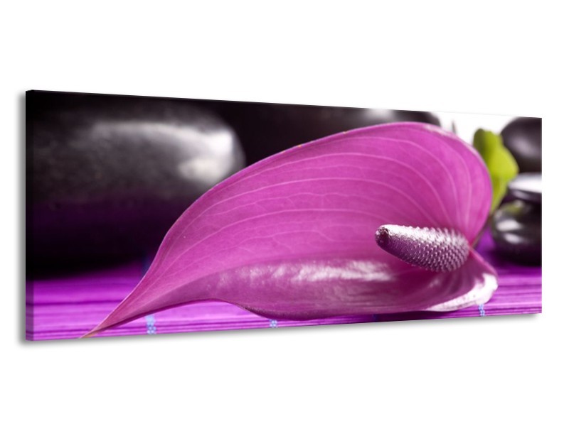 Canvas schilderij Bloem | Paars, Groen, Wit | 145x58cm 1Luik