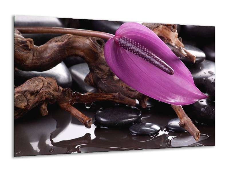 Canvas schilderij Bloem | Paars, Bruin, Wit | 120x70cm 1Luik