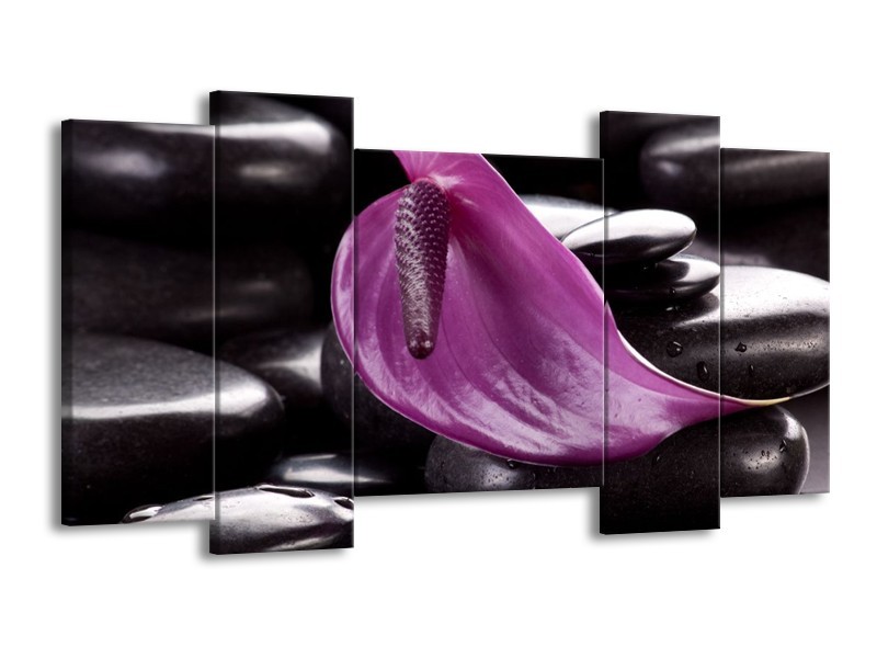 Canvas schilderij Bloem | Paars, Bruin, Wit | 120x65 5Luik
