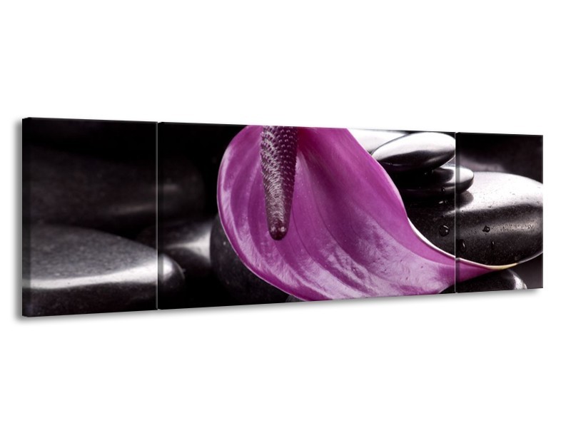 Glas schilderij Bloem | Paars, Bruin, Wit | 170x50cm 3Luik