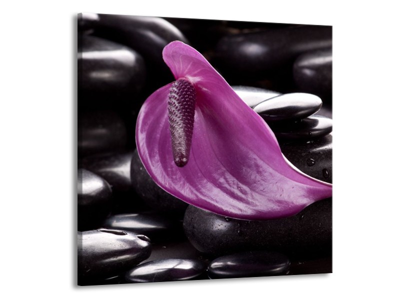 Canvas schilderij Bloem | Paars, Bruin, Wit | 70x70cm 1Luik