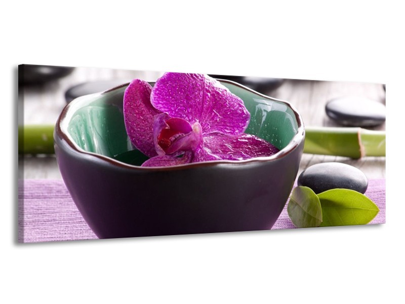 Canvas schilderij Orchidee | Paars, Groen | 145x58cm 1Luik