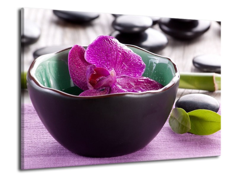 Canvas schilderij Orchidee | Paars, Groen | 70x50cm 1Luik