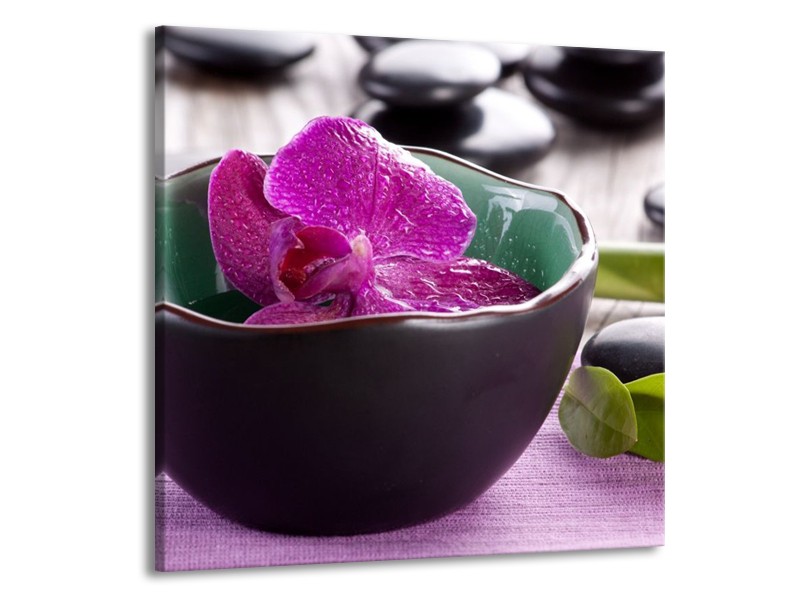 Canvas schilderij Orchidee | Paars, Groen | 70x70cm 1Luik