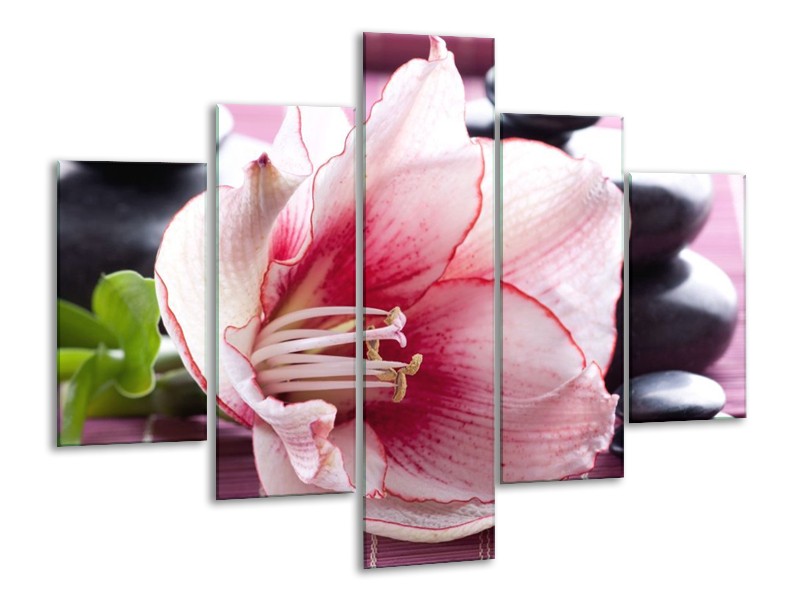 Canvas schilderij Bloem | Wit, Roze, Groen | 100x70cm 5Luik