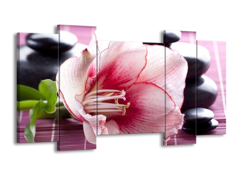 Canvas schilderij Bloem | Wit, Roze, Groen | 120x65 5Luik