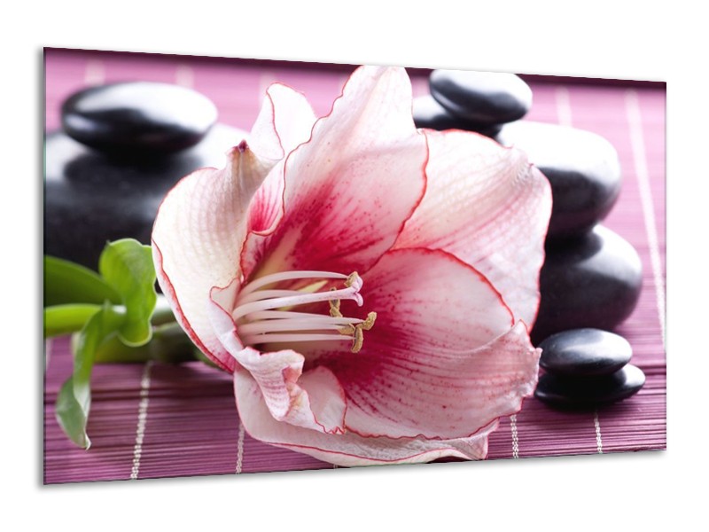 Canvas schilderij Bloem | Wit, Roze, Groen | 120x70cm 1Luik