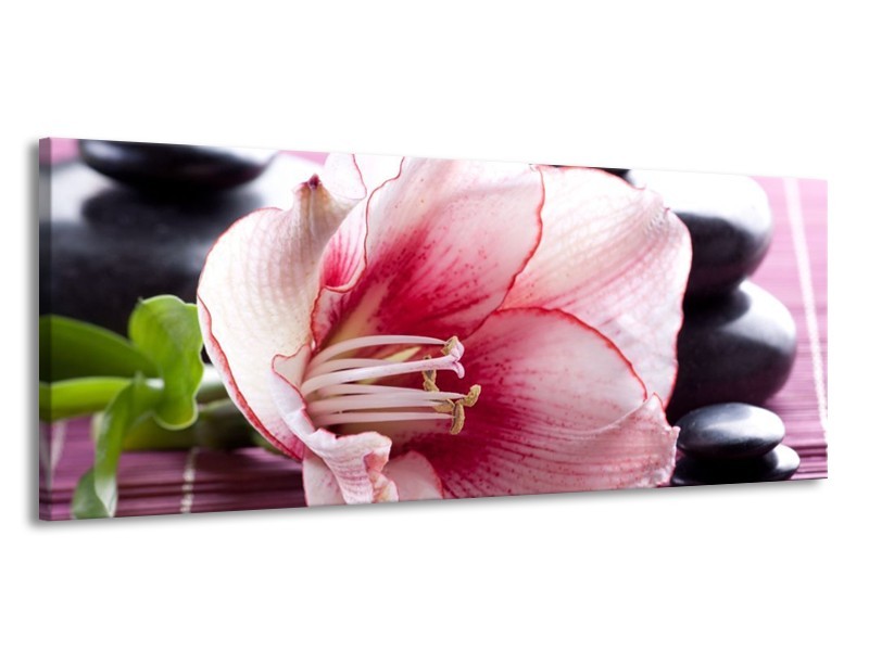 Canvas schilderij Bloem | Wit, Roze, Groen | 145x58cm 1Luik
