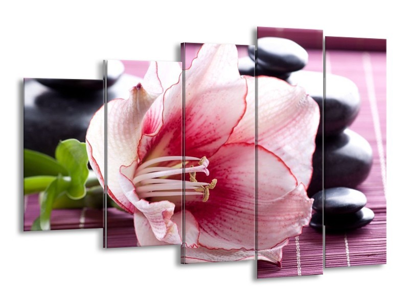 Canvas schilderij Bloem | Wit, Roze, Groen | 150x100cm 5Luik