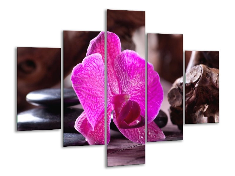 Canvas schilderij Orchidee | Paars, Zwart, Bruin | 100x70cm 5Luik