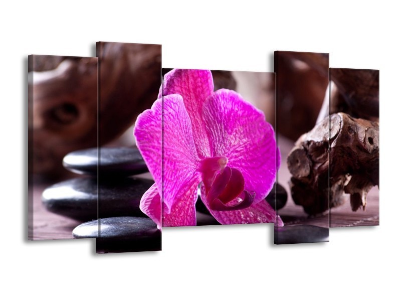 Canvas schilderij Orchidee | Paars, Zwart, Bruin | 120x65 5Luik