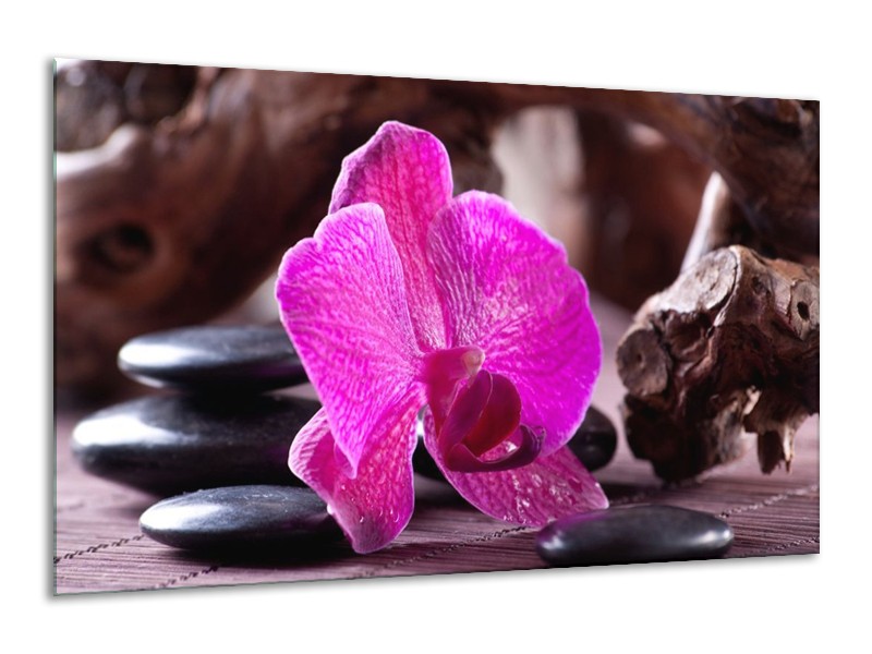 Canvas schilderij Orchidee | Paars, Zwart, Bruin | 120x70cm 1Luik