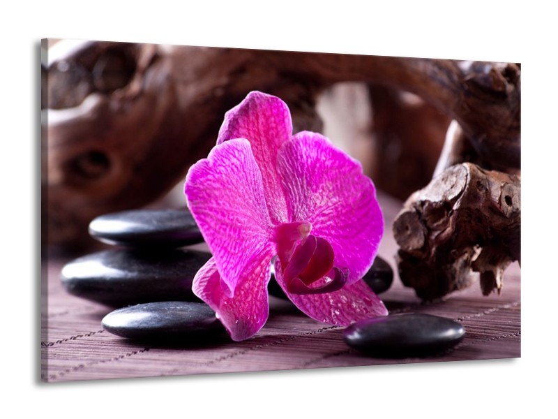 Canvas schilderij Orchidee | Paars, Zwart, Bruin | 140x90cm 1Luik