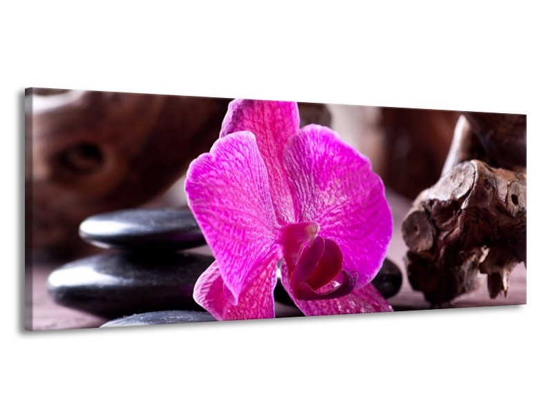 Canvas schilderij Orchidee | Paars, Zwart, Bruin | 145x58cm 1Luik
