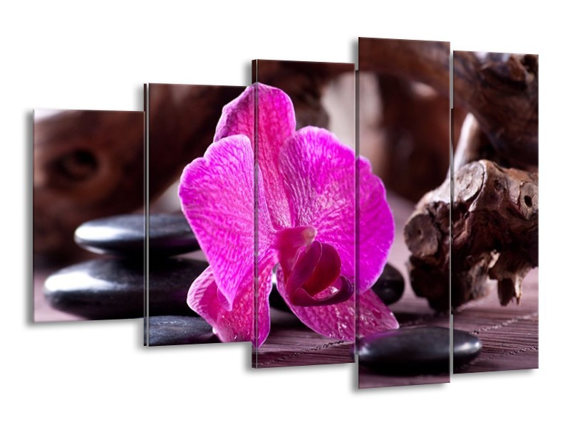 Canvas schilderij Orchidee | Paars, Zwart, Bruin | 150x100cm 5Luik