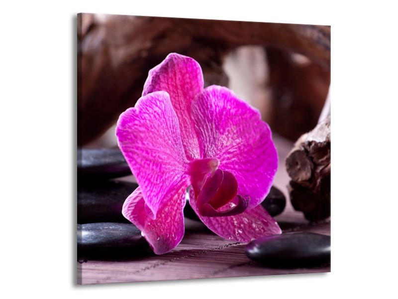 Canvas schilderij Orchidee | Paars, Zwart, Bruin | 70x70cm 1Luik