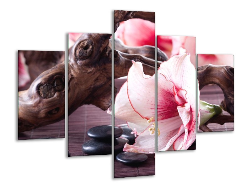 Canvas schilderij Bloem | Wit, Roze, Zwart | 100x70cm 5Luik