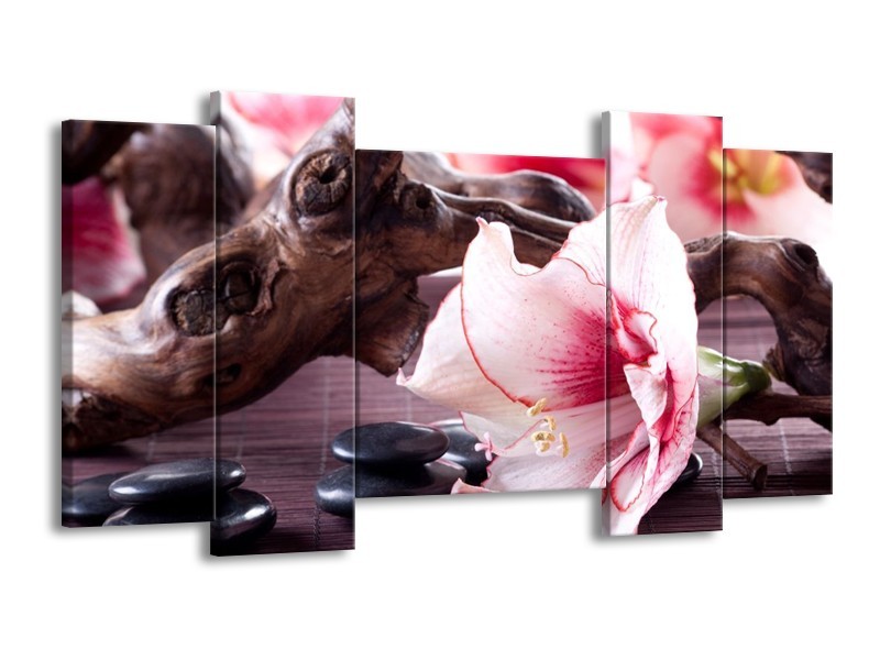 Canvas schilderij Bloem | Wit, Roze, Zwart | 120x65 5Luik