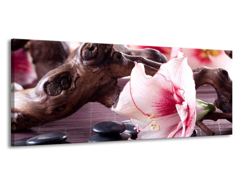 Canvas schilderij Bloem | Wit, Roze, Zwart | 145x58cm 1Luik