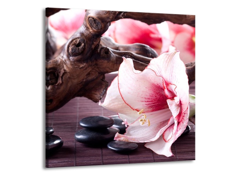 Canvas schilderij Bloem | Wit, Roze, Zwart | 70x70cm 1Luik