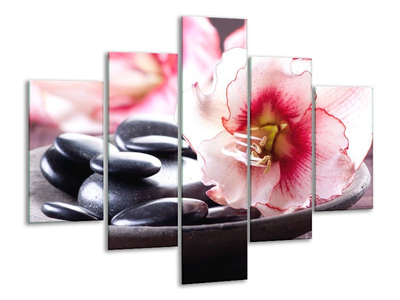 Canvas schilderij Bloem | Wit, Roze, Zwart | 100x70cm 5Luik