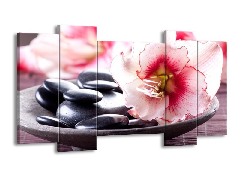 Canvas schilderij Bloem | Wit, Roze, Zwart | 120x65 5Luik
