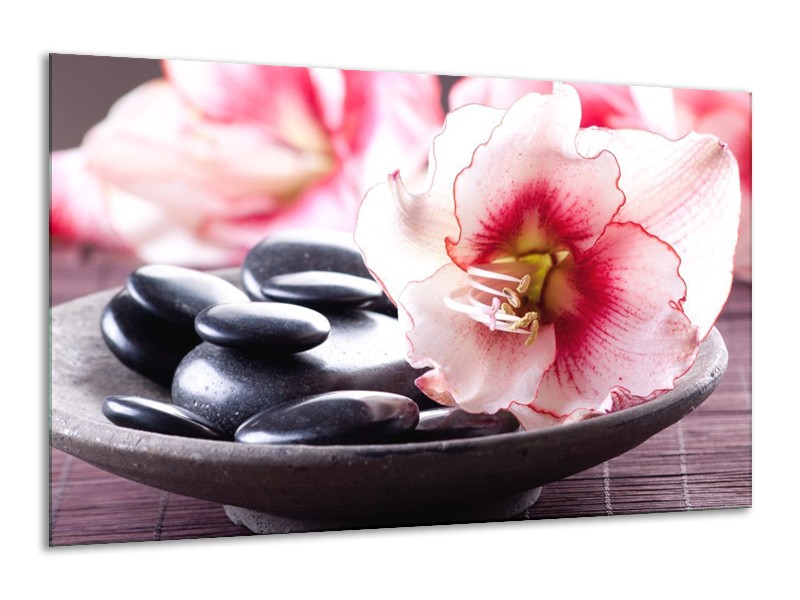Canvas schilderij Bloem | Wit, Roze, Zwart | 120x70cm 1Luik