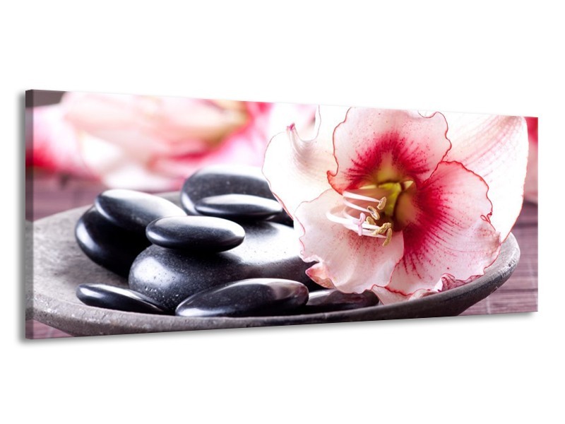 Canvas schilderij Bloem | Wit, Roze, Zwart | 145x58cm 1Luik