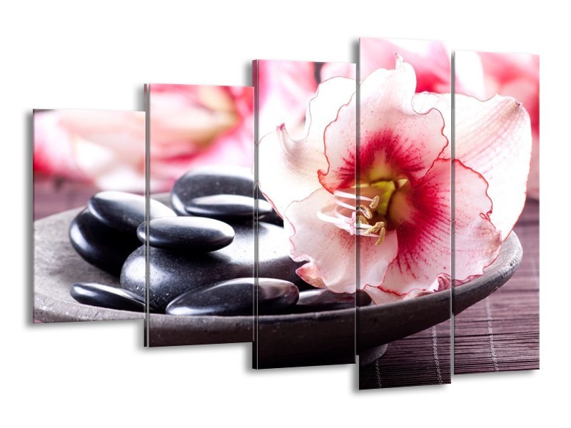 Canvas schilderij Bloem | Wit, Roze, Zwart | 150x100cm 5Luik