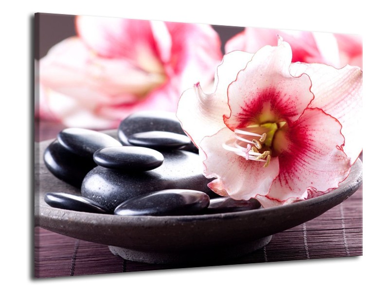 Canvas schilderij Bloem | Wit, Roze, Zwart | 70x50cm 1Luik