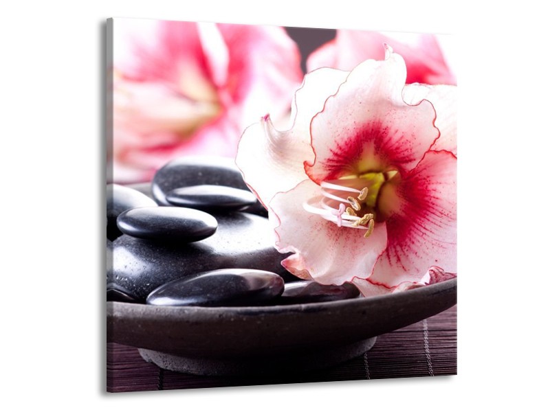 Canvas schilderij Bloem | Wit, Roze, Zwart | 70x70cm 1Luik