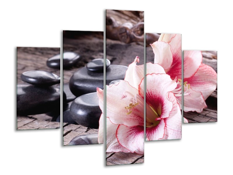 Canvas schilderij Bloem | Wit, Roze, Zwart | 100x70cm 5Luik