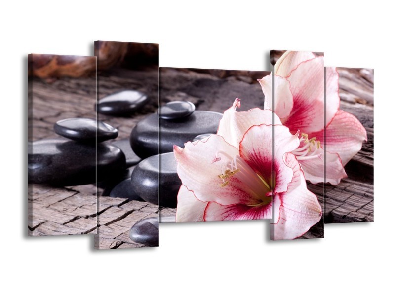 Canvas schilderij Bloem | Wit, Roze, Zwart | 120x65 5Luik