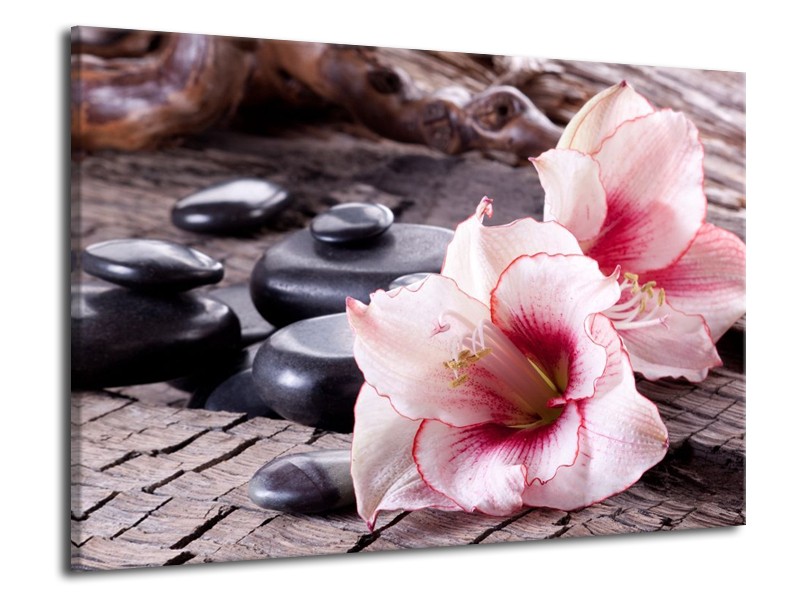 Canvas schilderij Bloem | Wit, Roze, Zwart | 70x50cm 1Luik