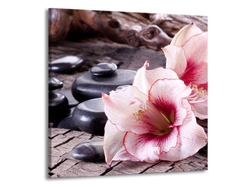 Canvas schilderij Bloem | Wit, Roze, Zwart | 70x70cm 1Luik