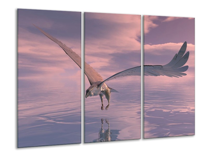 Glas schilderij Vogel | Grijs, Wit | 120x80cm 3Luik