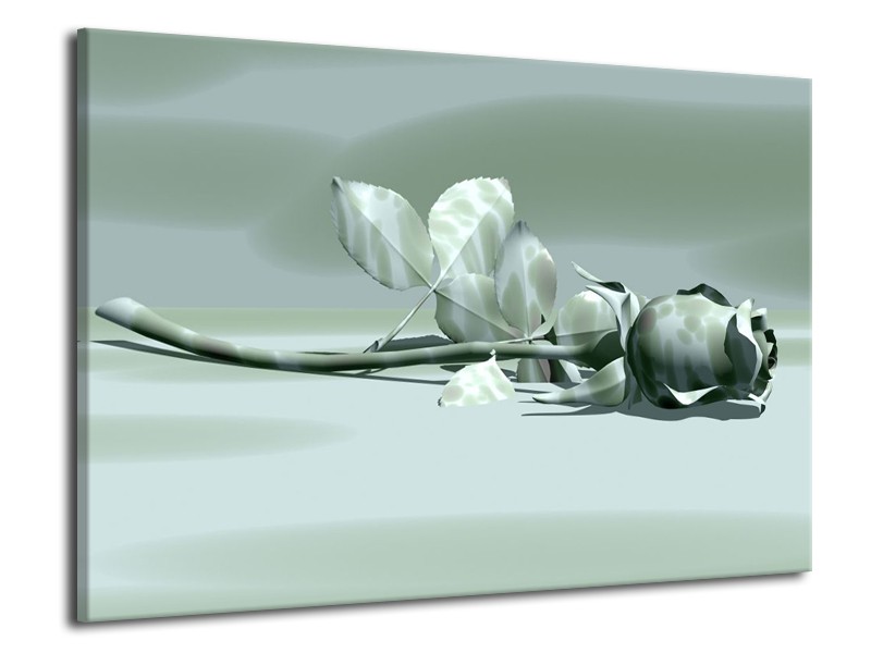 Glas schilderij Roos | Grijs, Wit | 70x50cm 1Luik