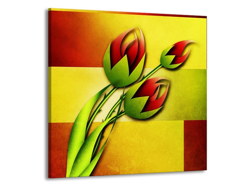 Canvas schilderij Bloem | Groen, Rood, Geel | 70x70cm 1Luik