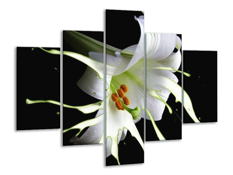 Canvas schilderij Bloem | Wit, Zwart, Groen | 100x70cm 5Luik
